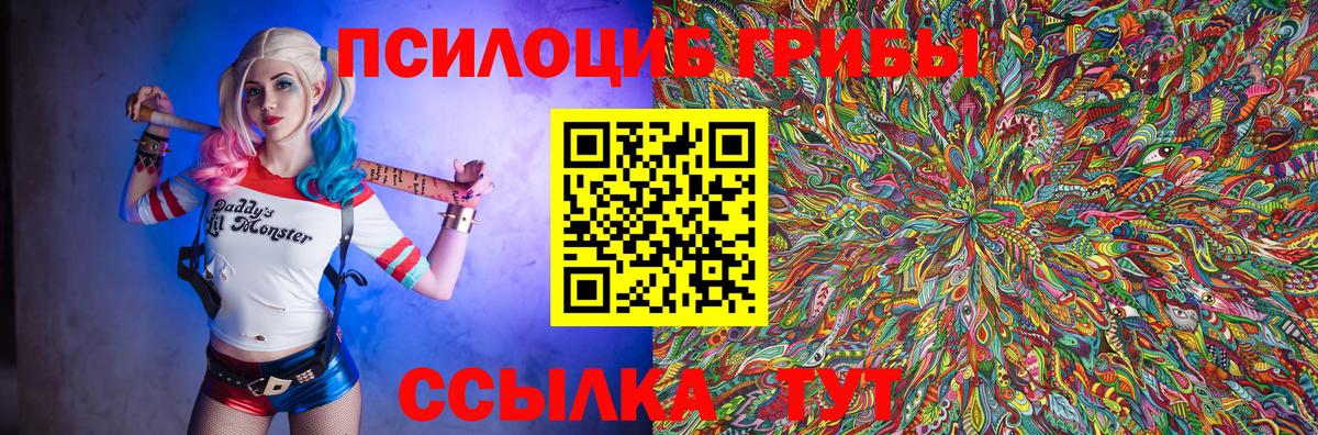 Чайковский  Галлюциногенные грибы ЛСД  Псилоцибиновые грибы Psilocybe  Вход с VPN 